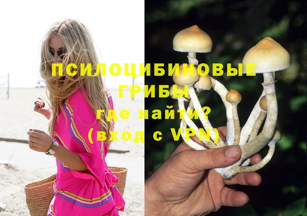 MDMA Premium VHQ Аркадак