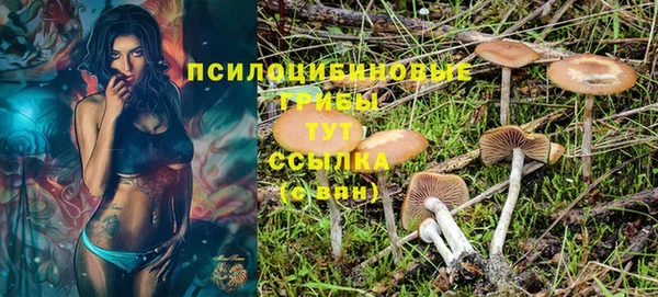 ПСИЛОЦИБИНОВЫЕ ГРИБЫ Армянск