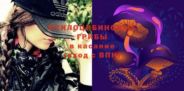 ПСИЛОЦИБИНОВЫЕ ГРИБЫ Армянск