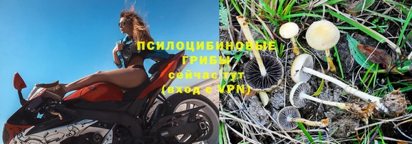 ПСИЛОЦИБИНОВЫЕ ГРИБЫ Армянск