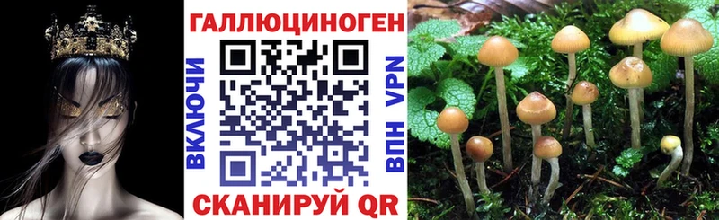 купить   Брянск  Псилоцибиновые грибы мухоморы 